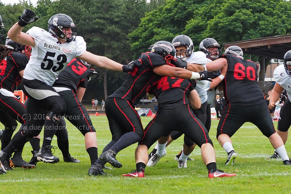 Panther - Berlin Rebels 16.7.16
