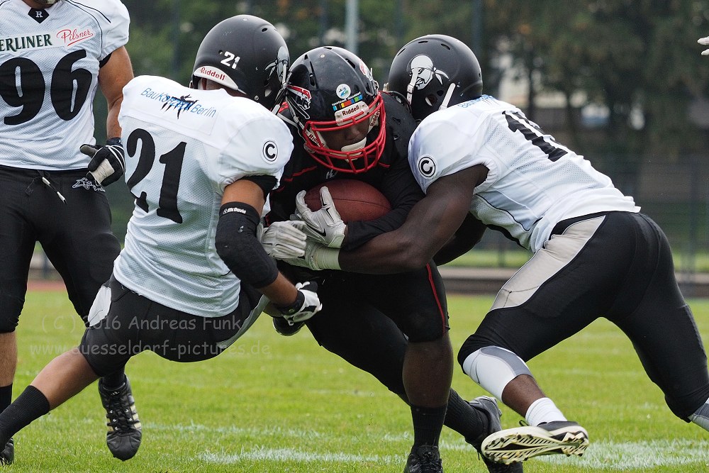 Panther - Berlin Rebels 16.7.16