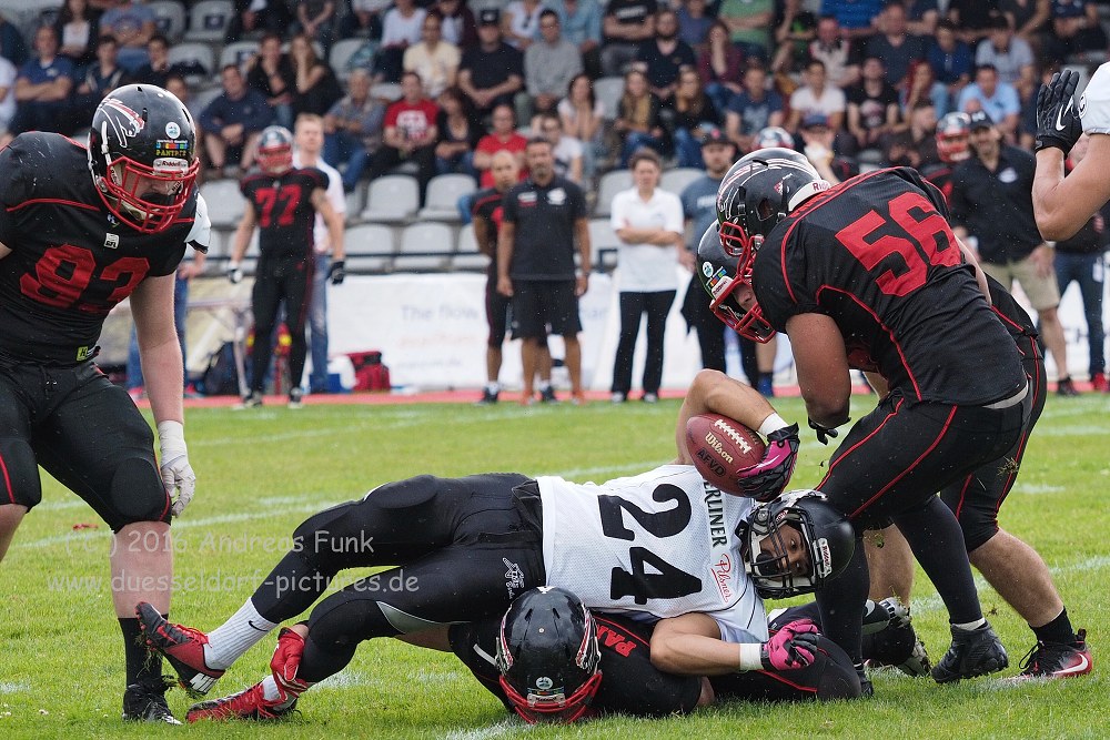 Panther - Berlin Rebels 16.7.16
