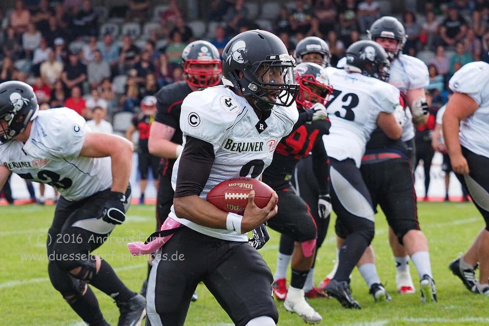 Panther - Berlin Rebels 16.7.16