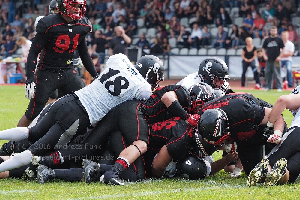 Panther - Berlin Rebels 16.7.16