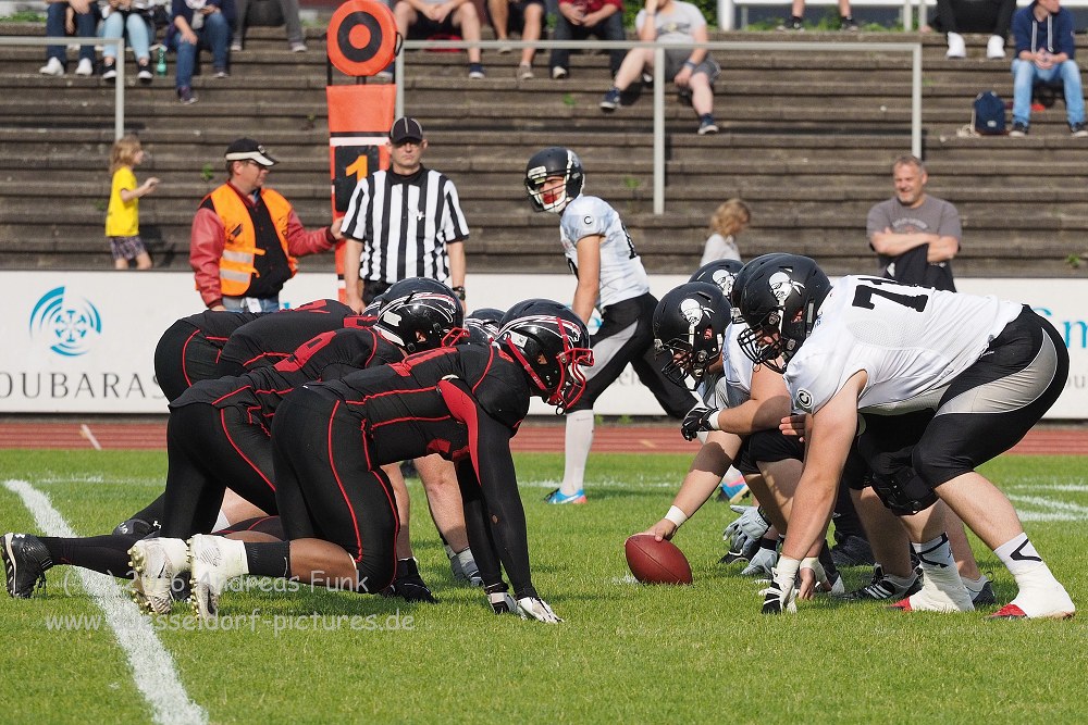 Panther - Berlin Rebels 16.7.16