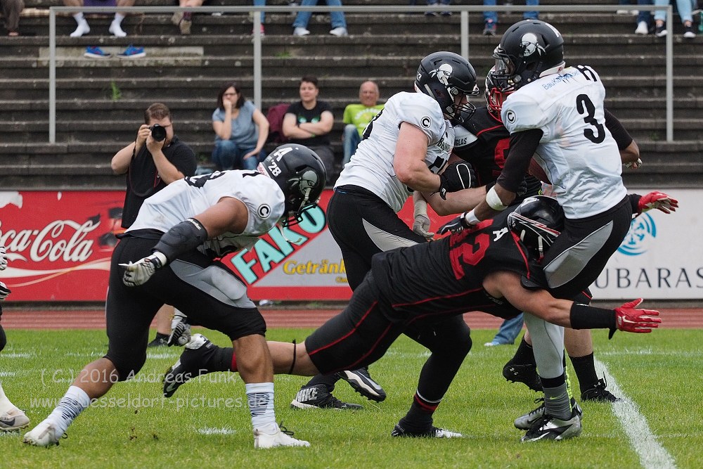 Panther - Berlin Rebels 16.7.16