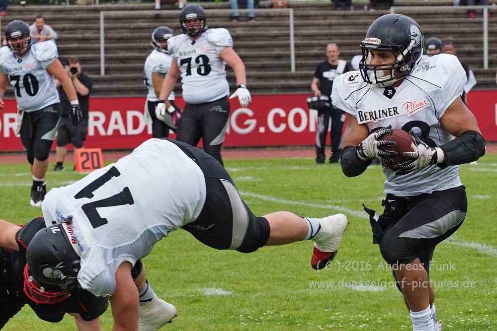 Panther - Berlin Rebels 16.7.16