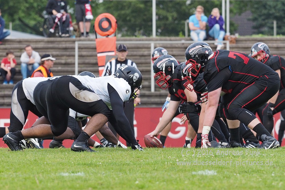 Panther - Berlin Rebels 16.7.16