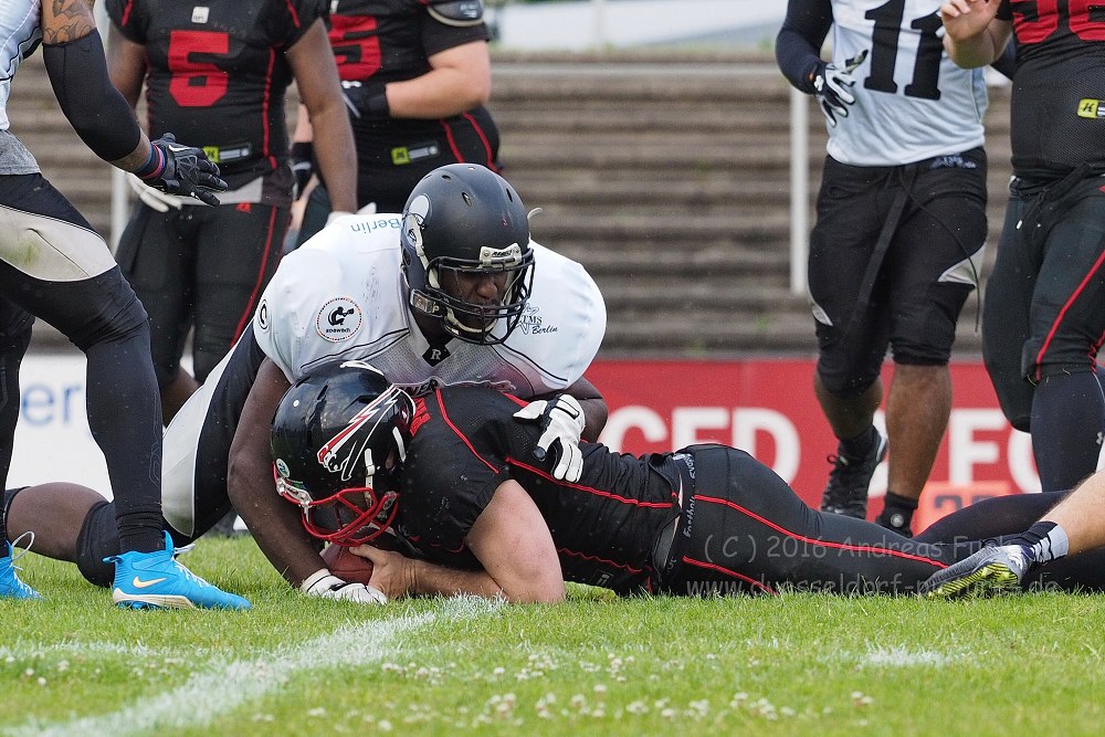Panther - Berlin Rebels 16.7.16