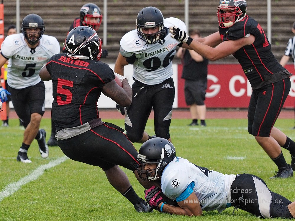 Panther - Berlin Rebels 16.7.16