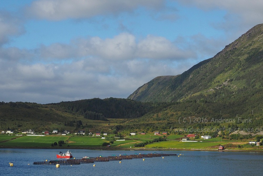 Hurtigrutenfahrt von Tromsö nach Trondheim