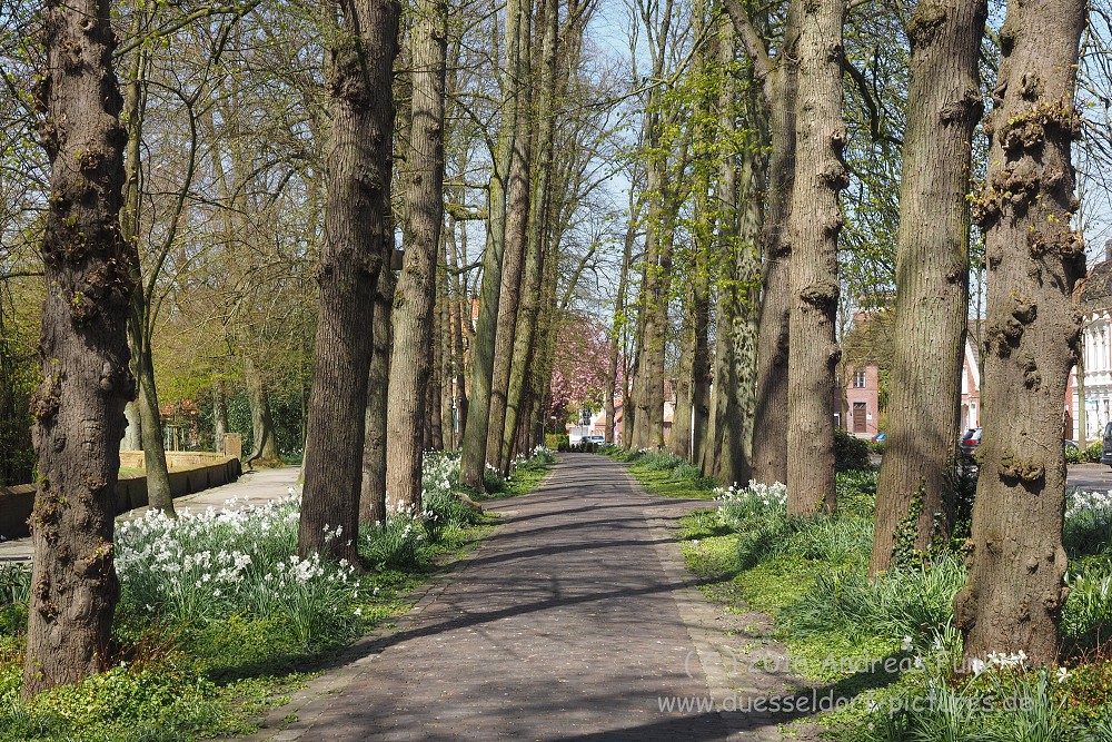 Norden ( Ostfriesland ) 