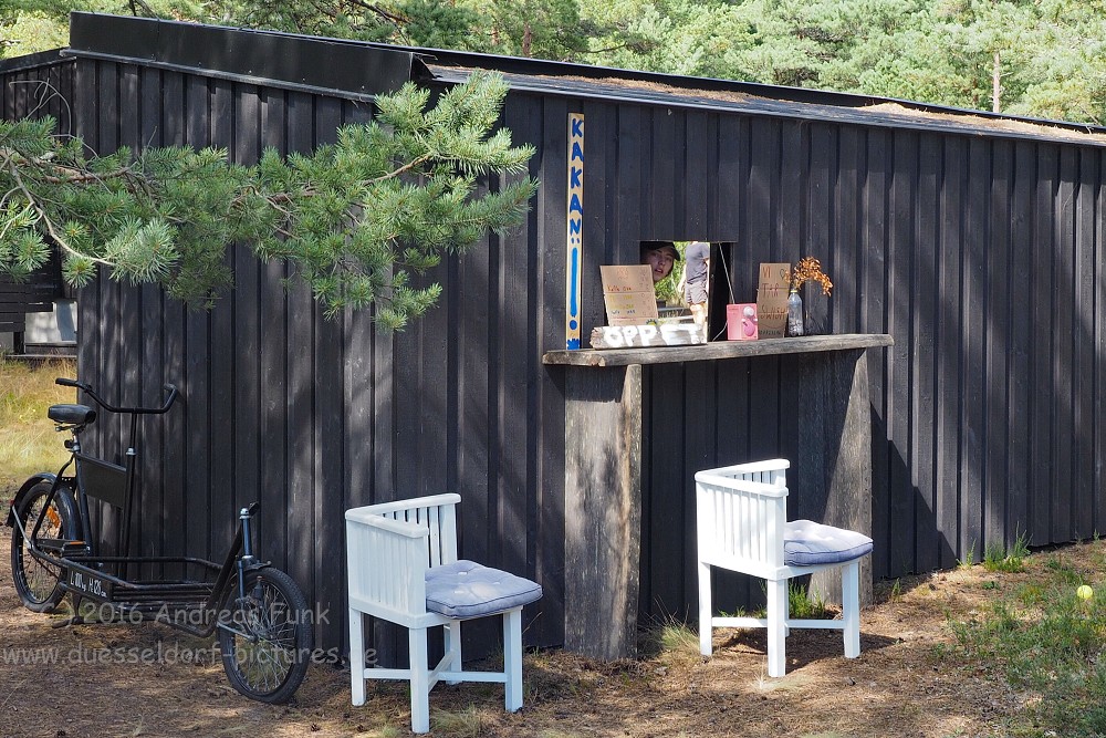 Tagestour von Stockholm zur Insel Sandhamn