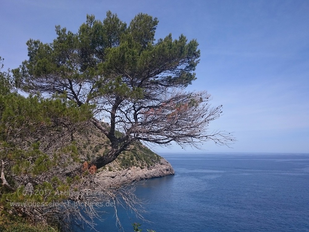 Mallorca 2017 Urlaub in Port de Soller Handyfotos