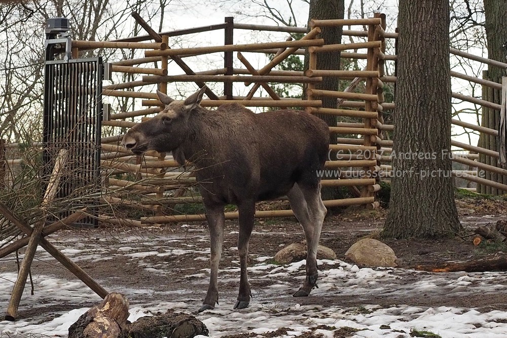 Stockholm Freilichtmuseum Skansen