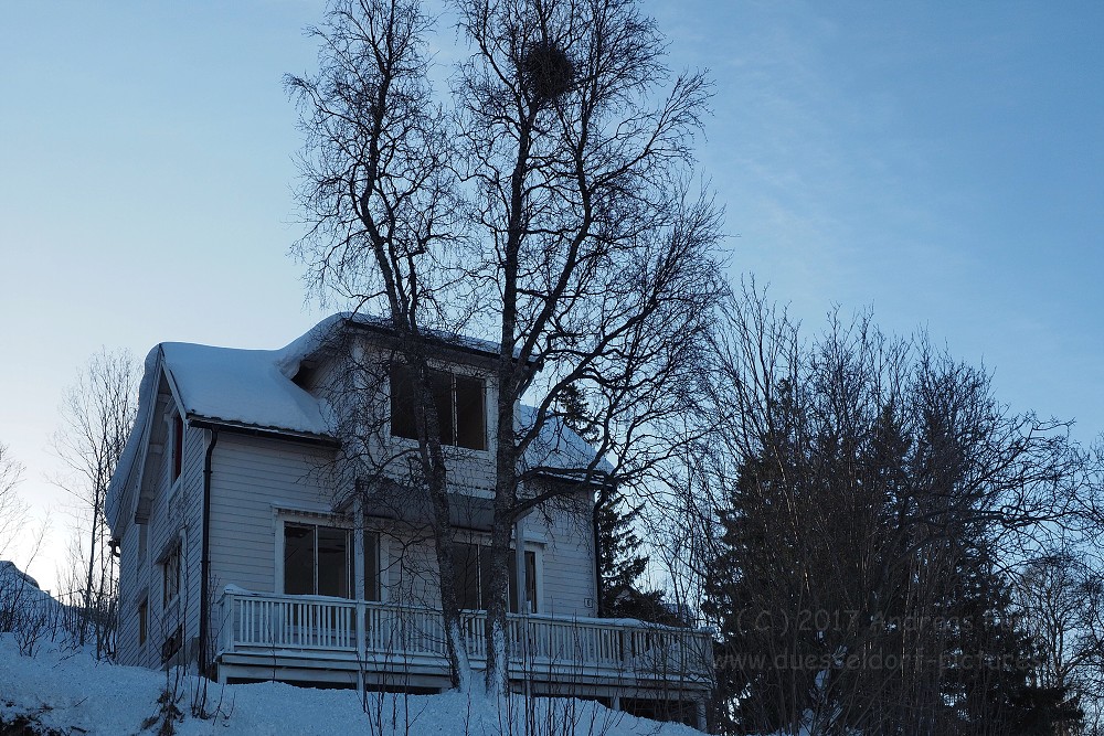 Hurtigrutenfahrt 2017 Tag 4 Finnsnes und Tromsø