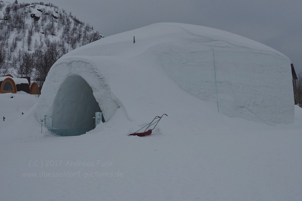 Hurtigrutenfahrt 2017 Tag 6 Kirkenes Snowhotel Husky