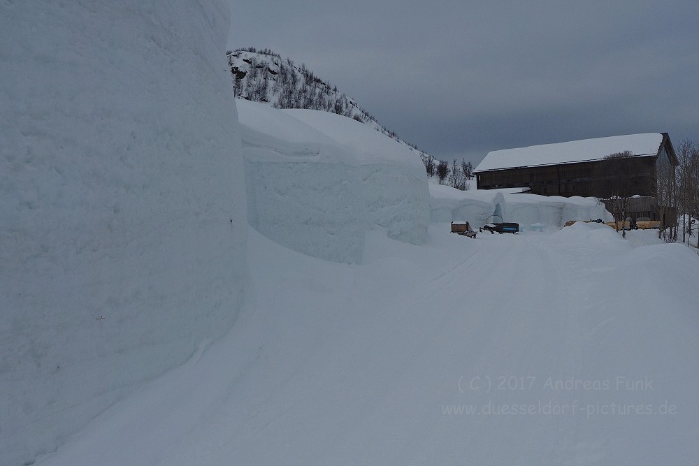 Hurtigrutenfahrt 2017 Tag 6 Kirkenes Snowhotel Husky