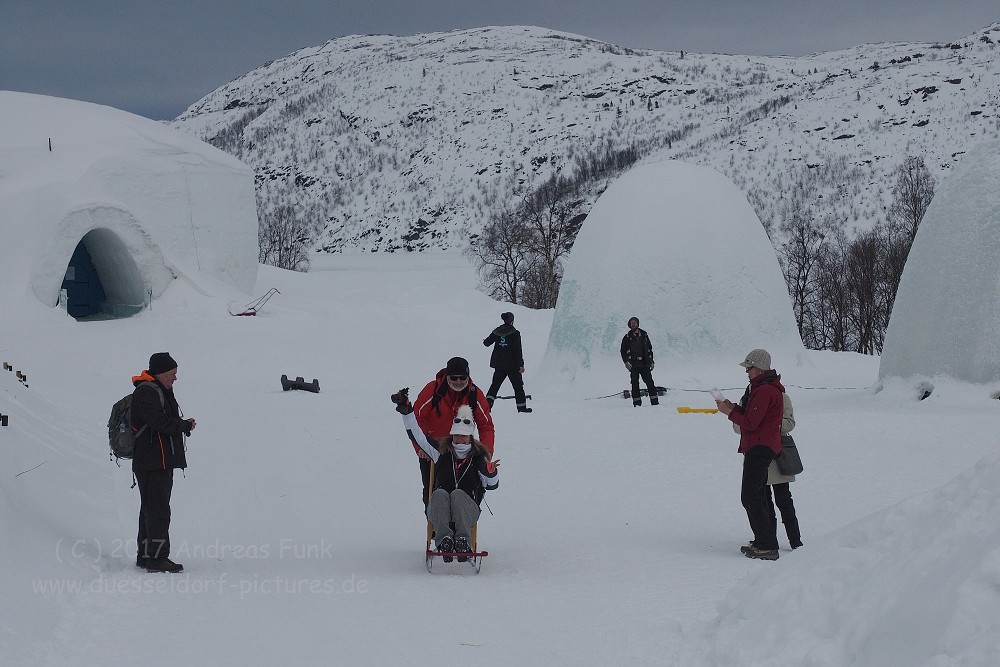 Hurtigrutenfahrt 2017 Tag 6 Kirkenes Snowhotel Husky