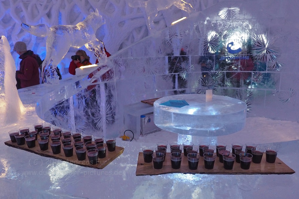 Hurtigrutenfahrt 2017 Tag 6 Kirkenes Snowhotel Husky