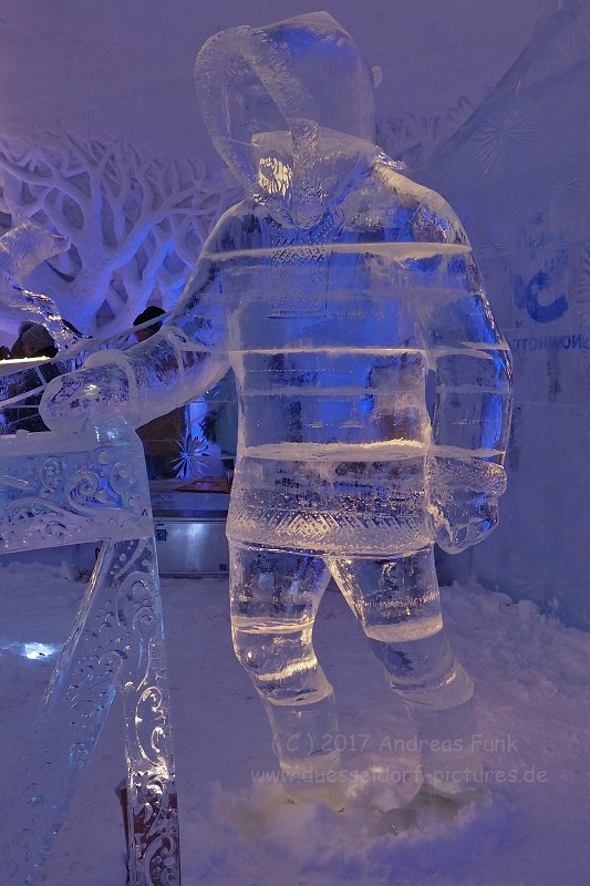 Hurtigrutenfahrt 2017 Tag 6 Kirkenes Snowhotel Husky