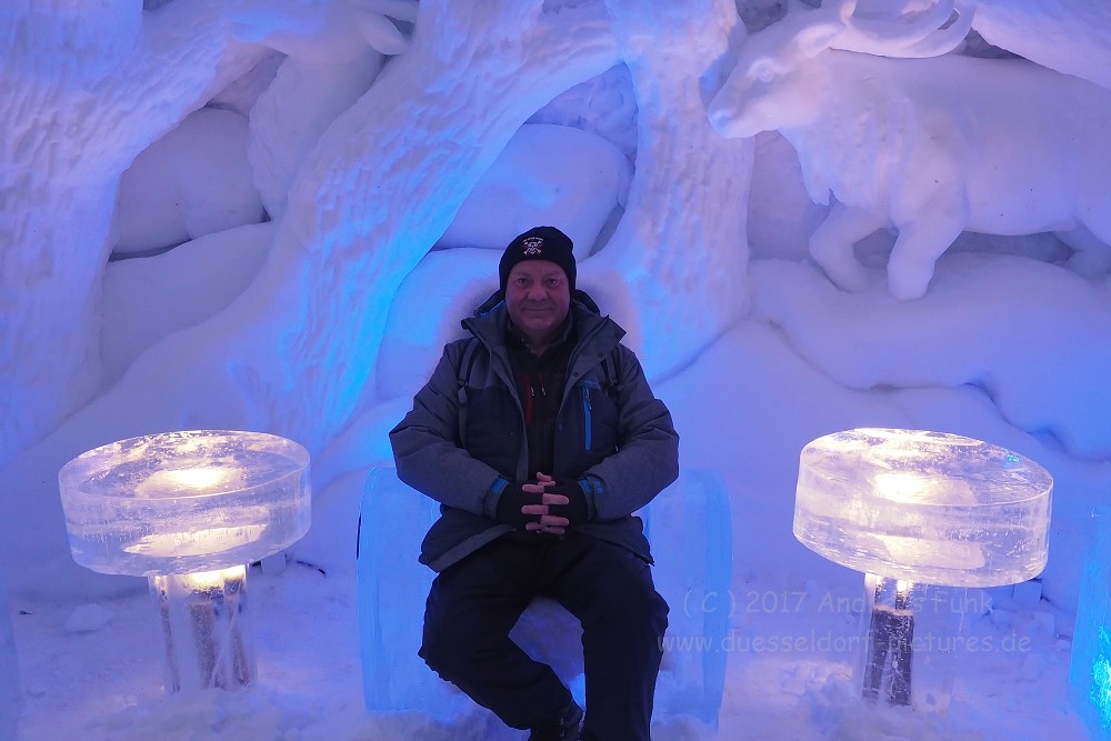 Hurtigrutenfahrt 2017 Tag 6 Kirkenes Snowhotel Husky