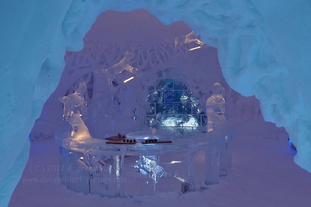 Hurtigrutenfahrt 2017 Tag 6 Kirkenes Snowhotel Husky