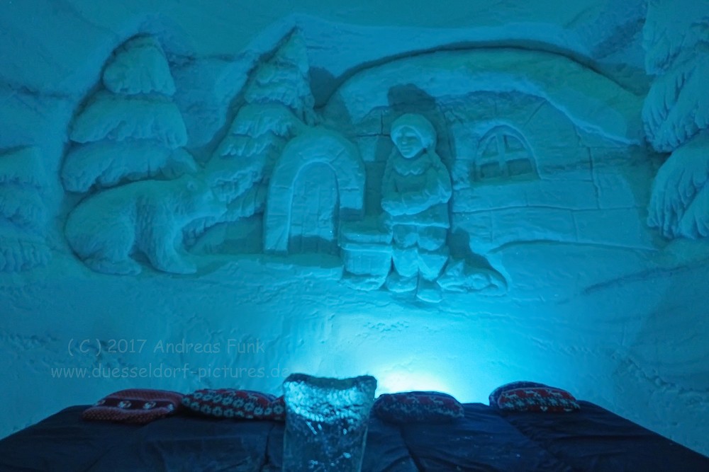 Hurtigrutenfahrt 2017 Tag 6 Kirkenes Snowhotel Husky