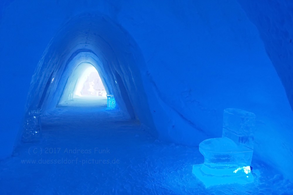 Hurtigrutenfahrt 2017 Tag 6 Kirkenes Snowhotel Husky