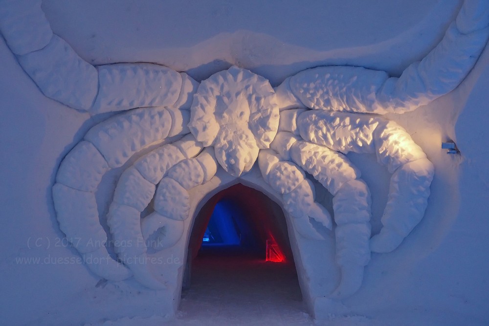 Hurtigrutenfahrt 2017 Tag 6 Kirkenes Snowhotel Husky