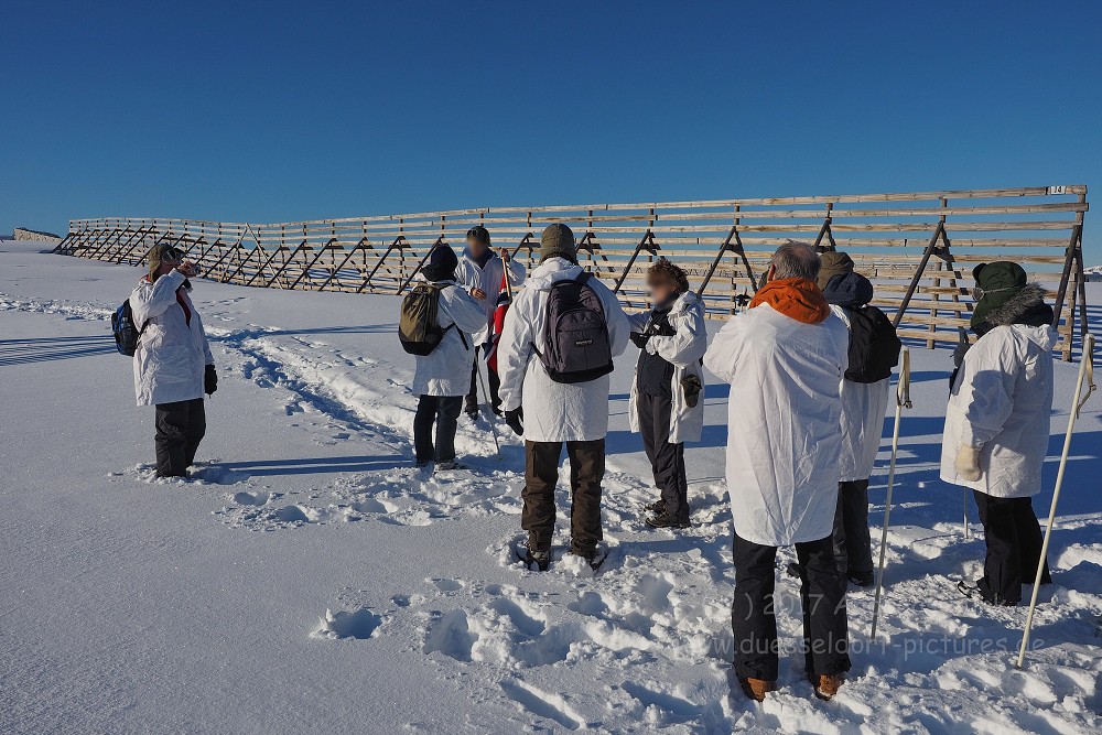 Hurtigruten 2017 Tag 7 Hammerfest Oksfjord Skejrvoy