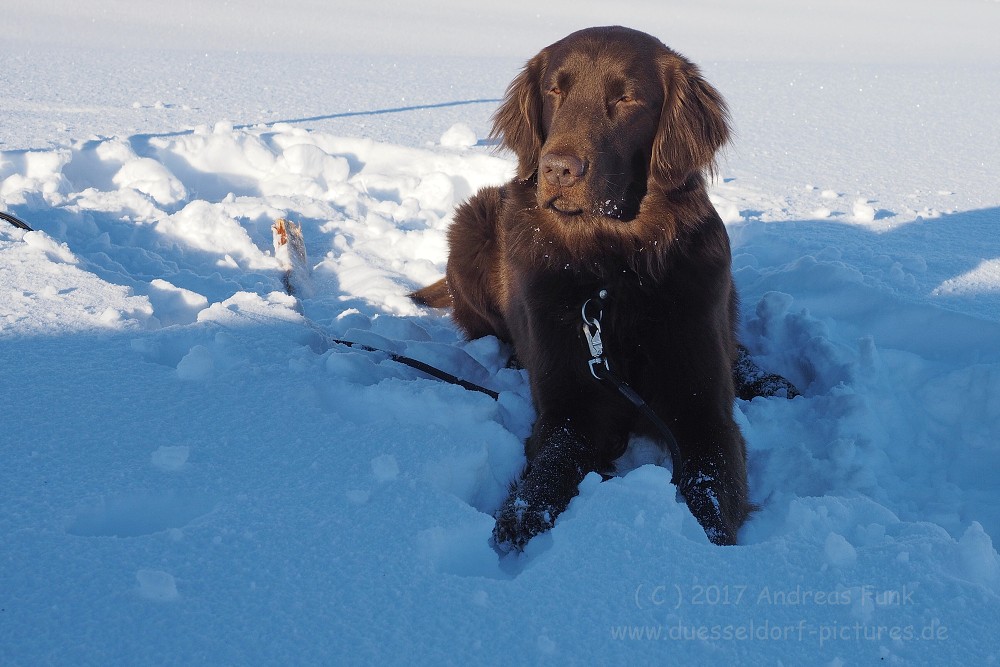 Hurtigruten 2017 Tag 7 Hammerfest Oksfjord Skejrvoy