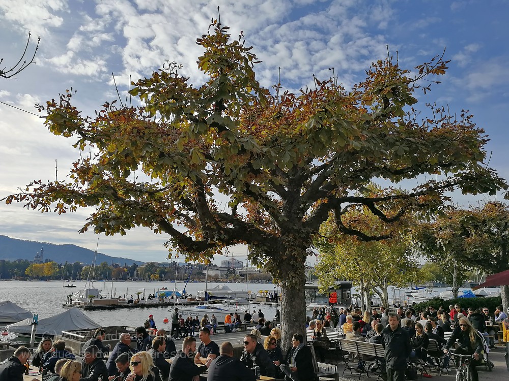 Zürich 2017 Eishockeytour Handyfotos