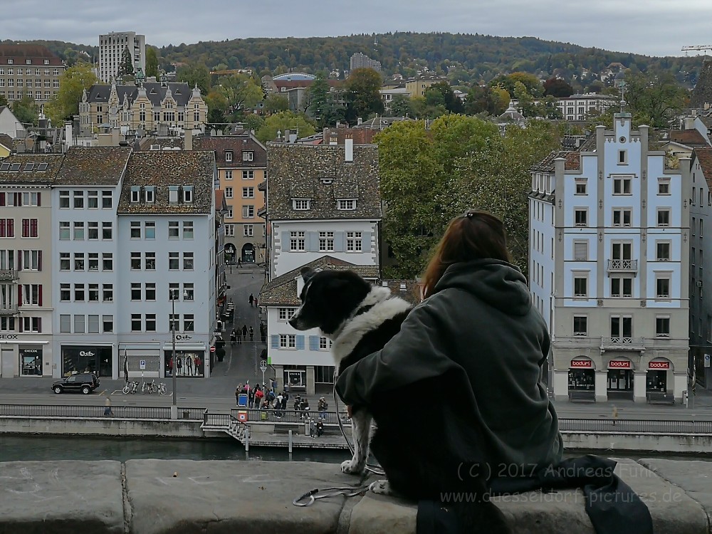 Zürich 2017 Eishockeytour Handyfotos