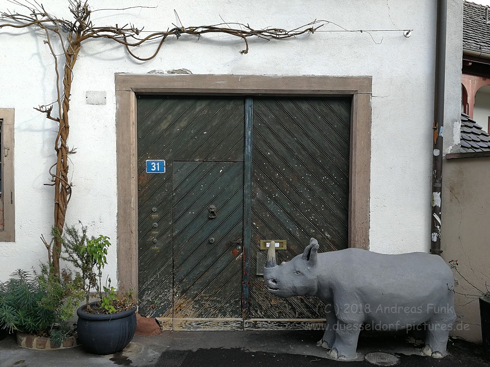 Basel - Bern - Zürich Januar 2018
