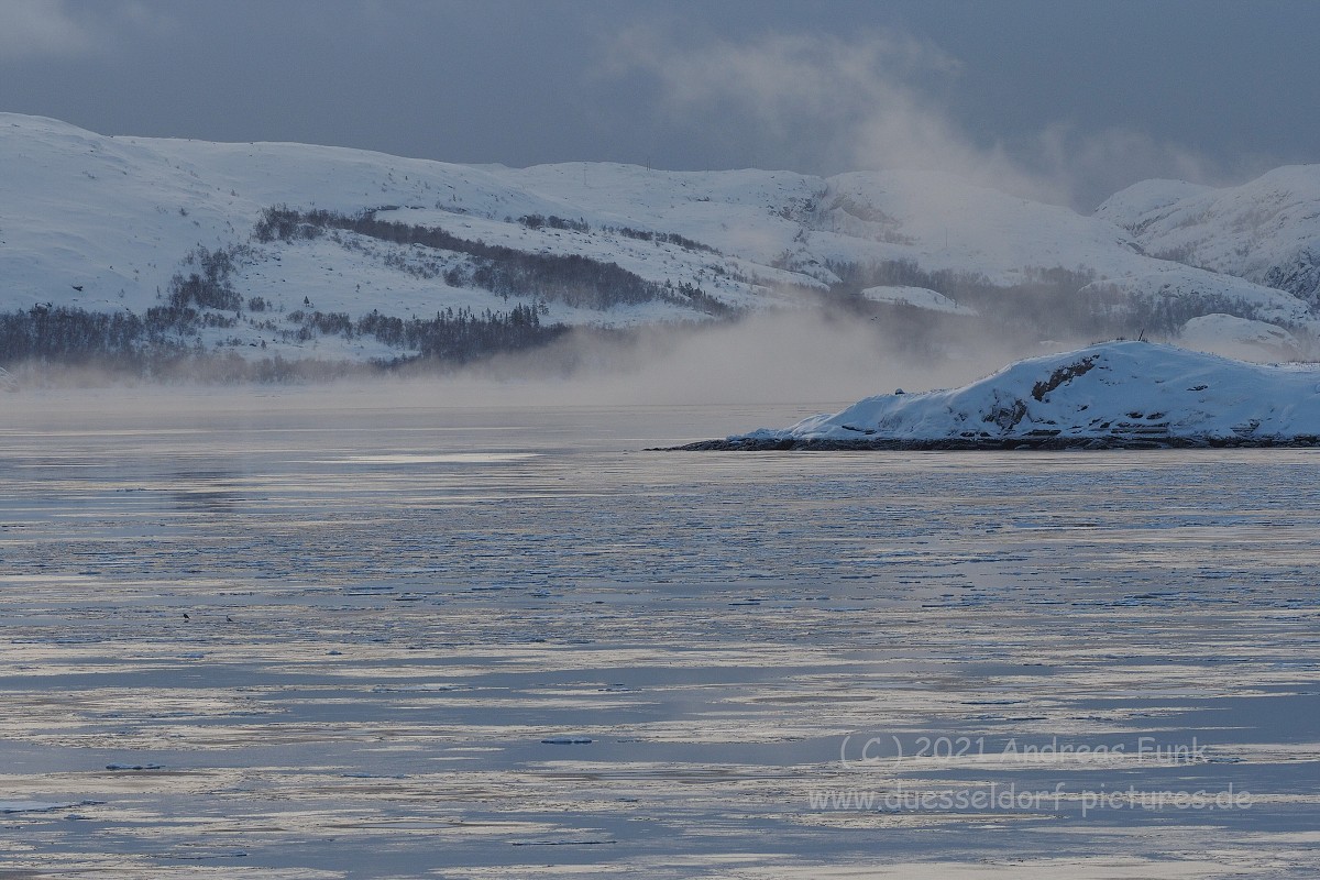 Hurtigruten 26.2.2018 Kirkenes und Vardo