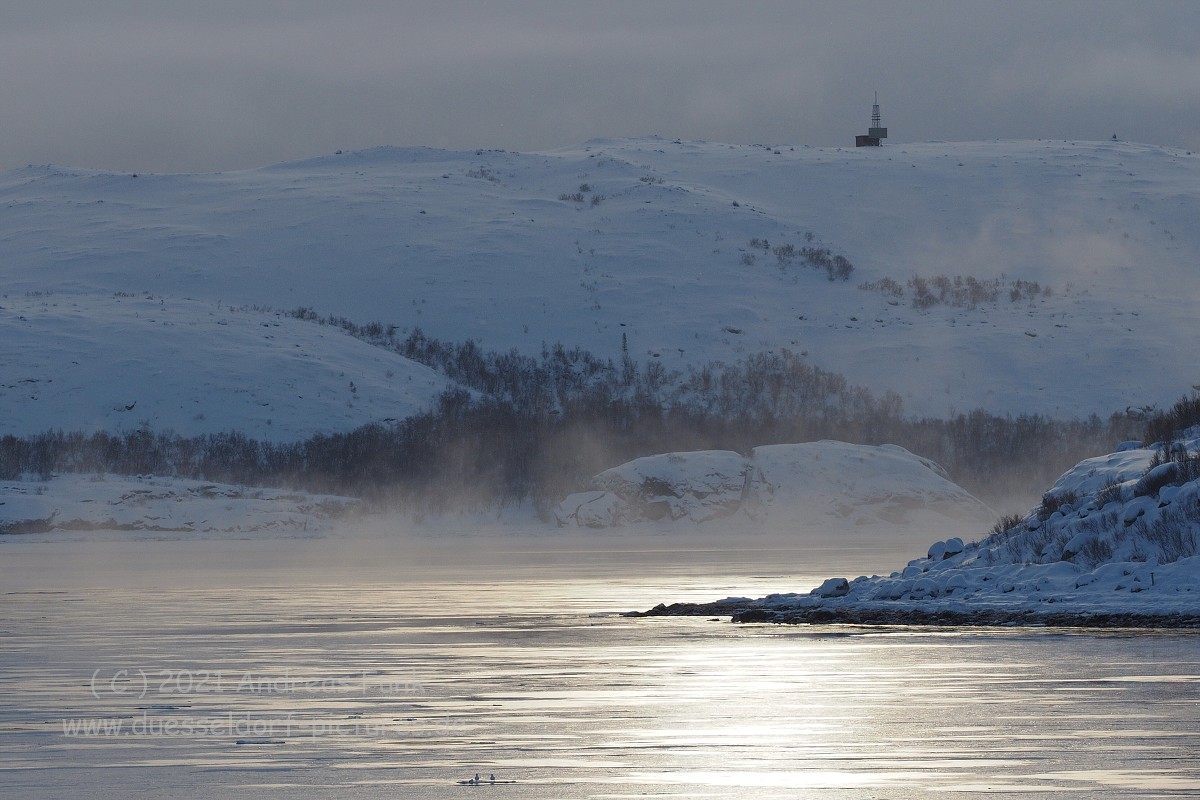 Hurtigruten 26.2.2018 Kirkenes und Vardo