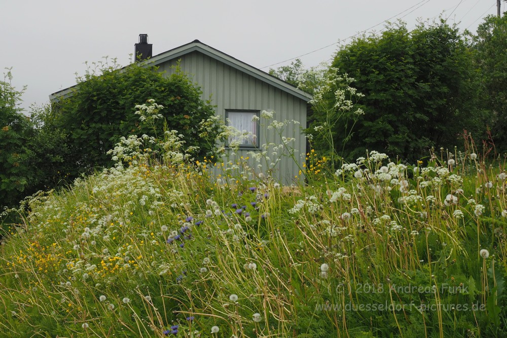 Tour Tromsø - Skjervoy - Tromsø Juli 2018