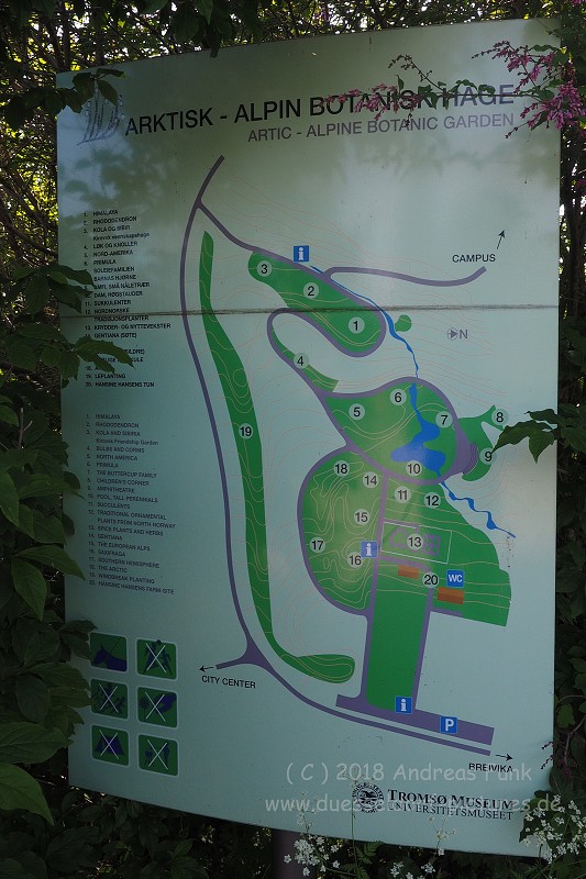 Tromsø - Botanischergarten und Stadtrundgang Juli 2018