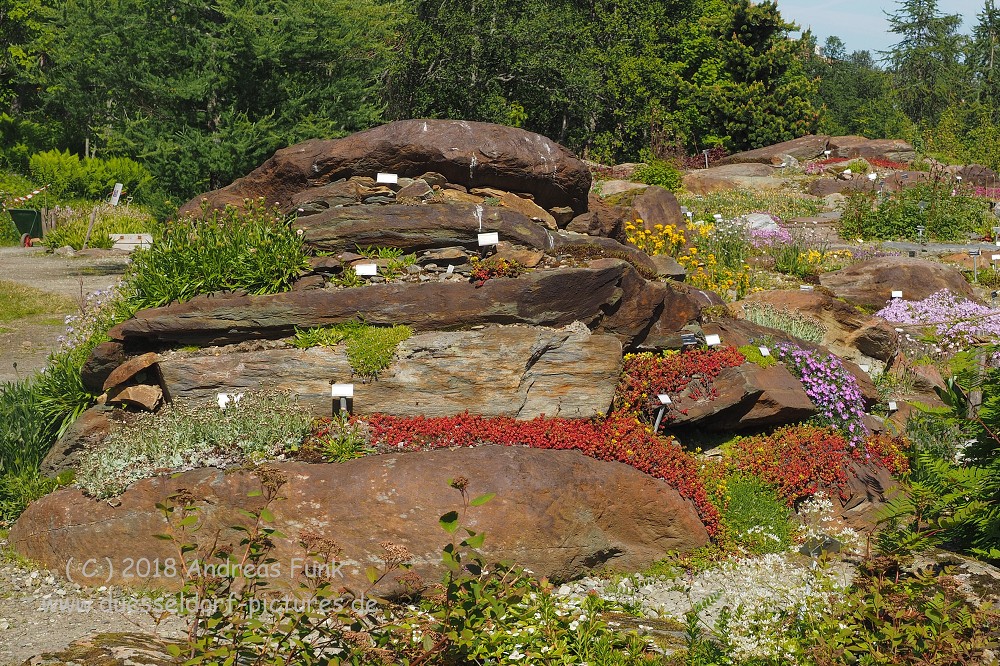 Tromsø - Botanischergarten und Stadtrundgang Juli 2018