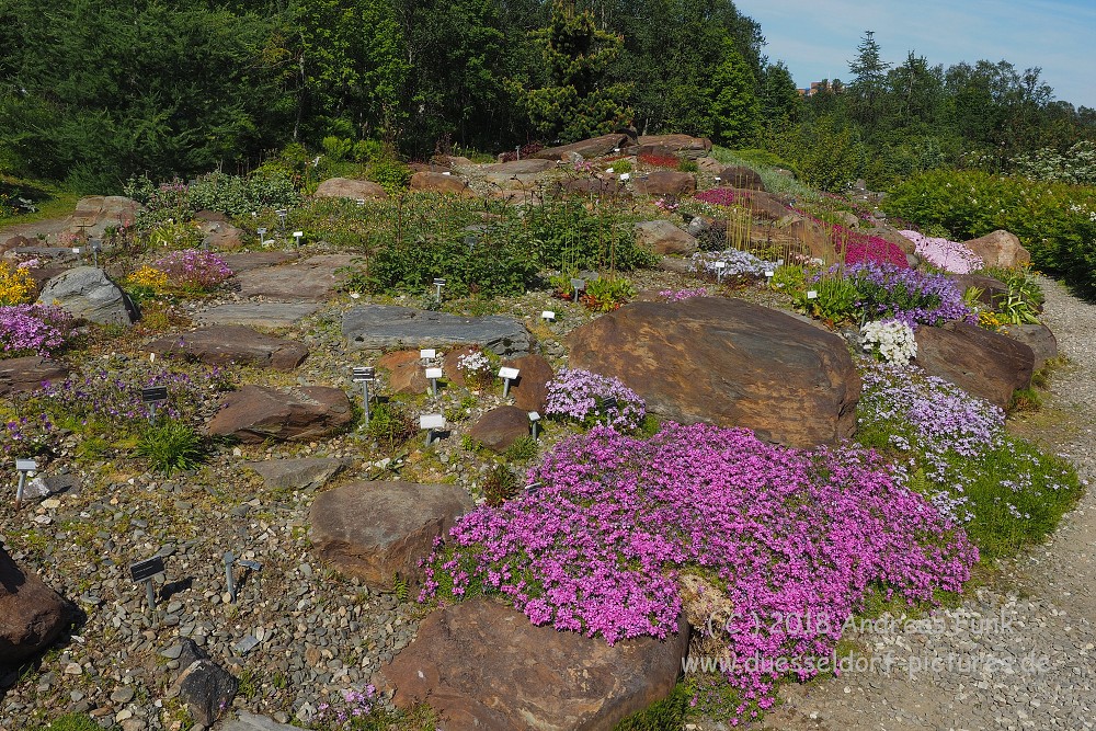 Tromsø - Botanischergarten und Stadtrundgang Juli 2018