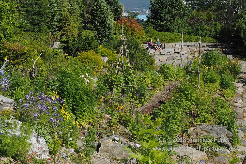 Tromsø - Botanischergarten und Stadtrundgang Juli 2018