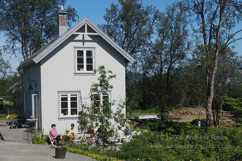 Tromsø - Botanischergarten und Stadtrundgang Juli 2018