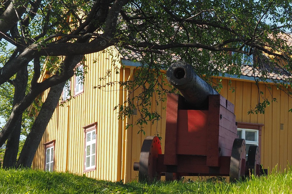 Tromsø - Botanischergarten und Stadtrundgang Juli 2018