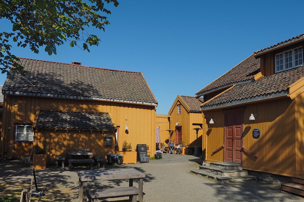 Tromsø - Botanischergarten und Stadtrundgang Juli 2018