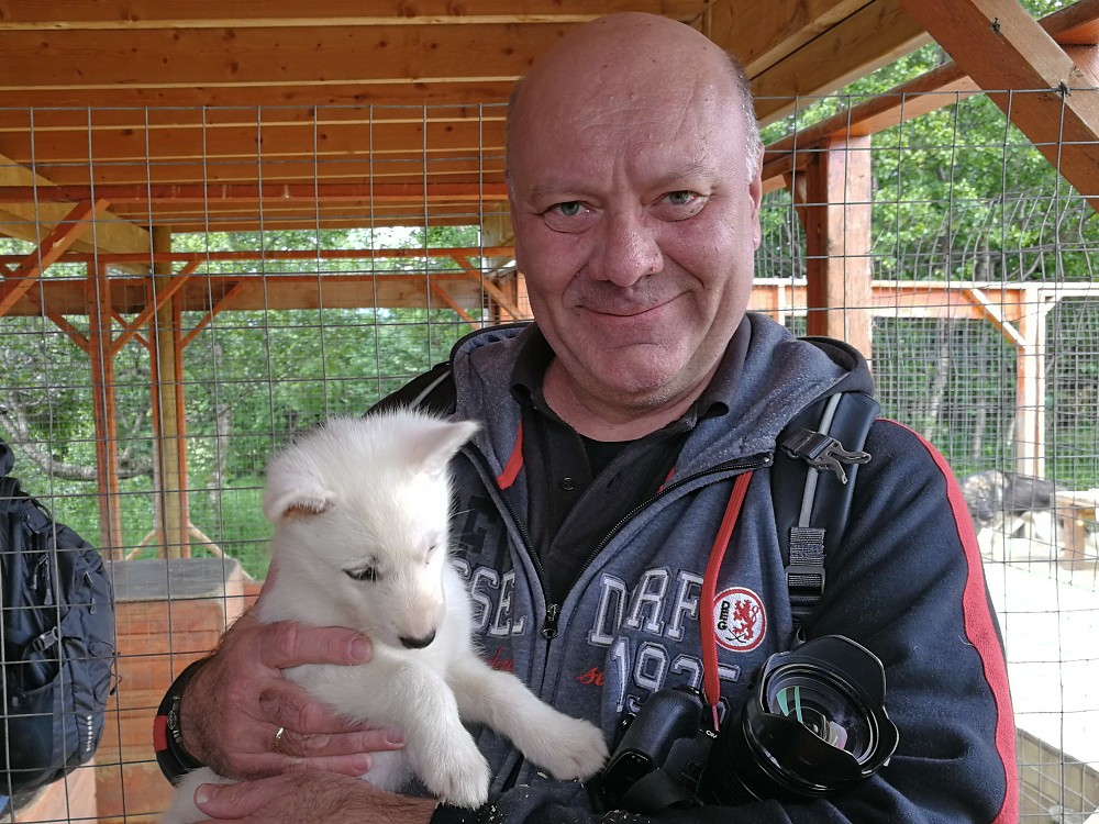 Tromsø - Huskycamp und Walfänger Juli 2018