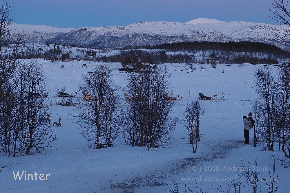 Tromsø - Huskycamp und Walfänger Juli 2018