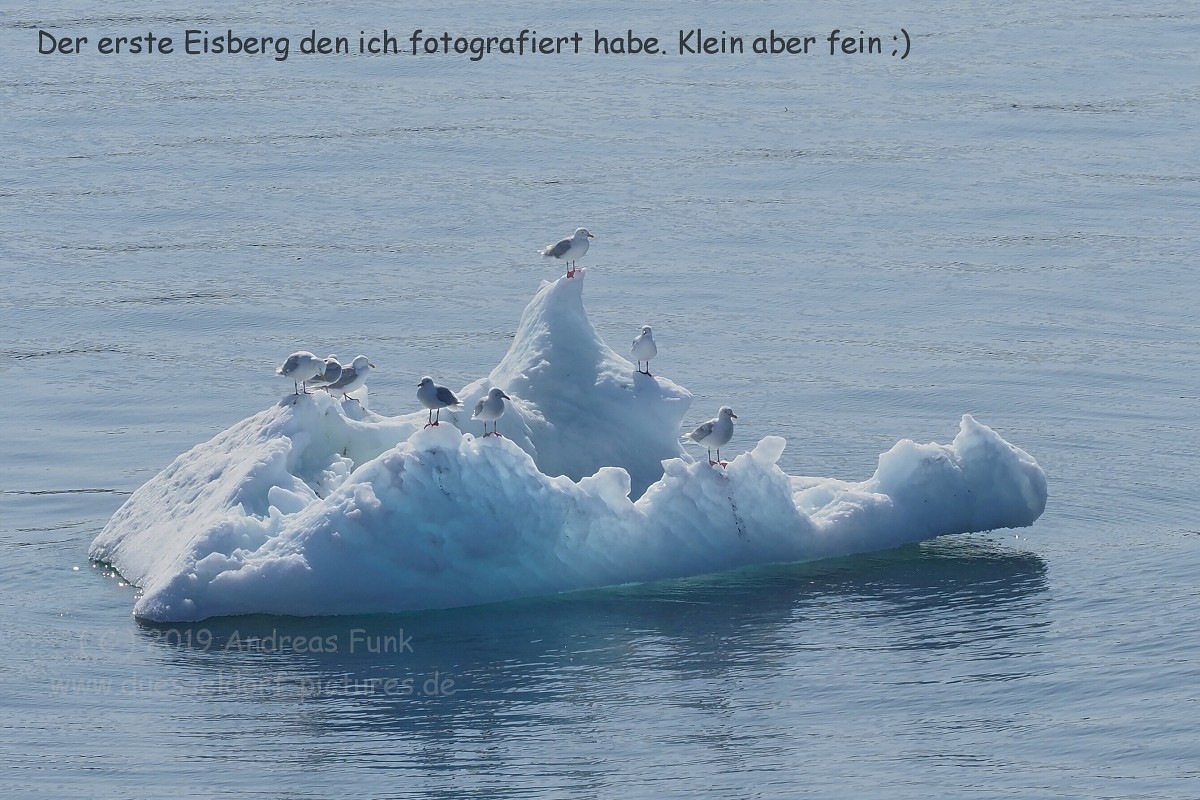 Grönland Kreuzfahrt MS Hamburg Ilulissat Eisfjord