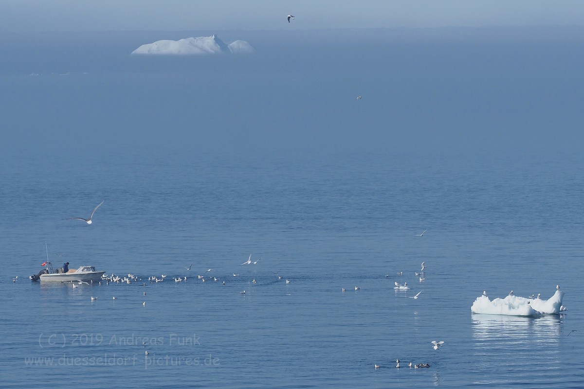 Grönland Kreuzfahrt MS Hamburg Ilulissat Eisfjord