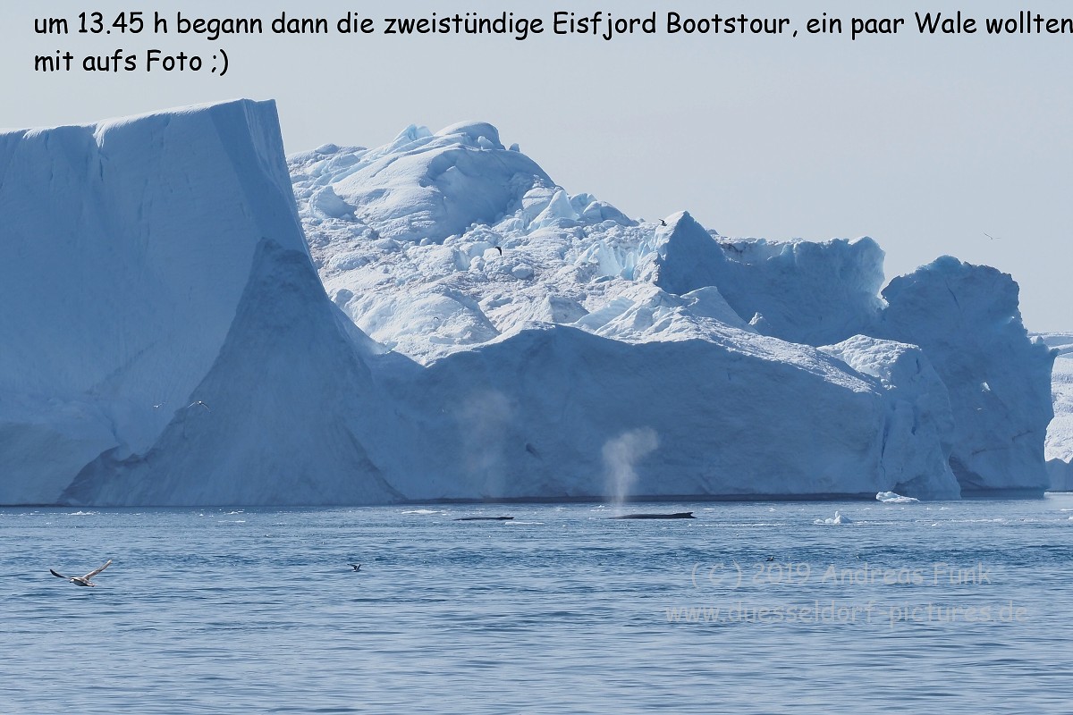 Grönland Kreuzfahrt MS Hamburg Ilulissat Eisfjord