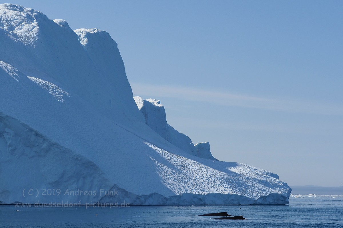 Grönland Kreuzfahrt MS Hamburg Ilulissat Eisfjord