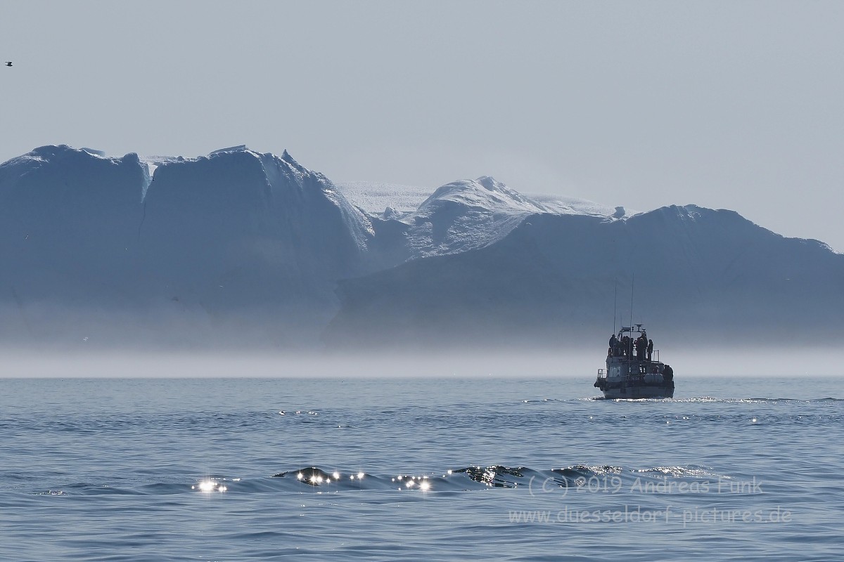 Grönland Kreuzfahrt MS Hamburg Ilulissat Eisfjord