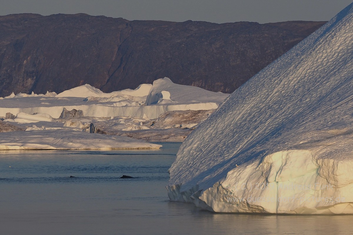 Grönland Kreuzfahrt MS Hamburg Ilulissat Eisfjord